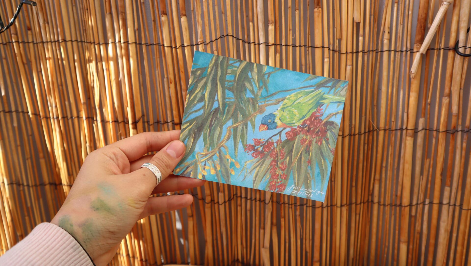 APLori Lorikeet Print